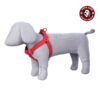 61bUNseOh7S._SL1000_.jpg PetsLike Spun Harness Regular Red (size Large), RED, Large.