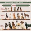 61bmHOA6sLL._SL1080_.jpg Vama AIR Leash Sustainable & EcoFriendly 100% Natural Cotton Solid Brass Hook Super Durable Anti Slip Leash for Large Dogs 5 Feet Long X 1.25 Inch Wide Hand Made Cocoa Brown