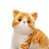 TOYZEELAND Shiva Cat Soft Toy for Kids Make Sound Like Real cat - Plushie for Girls & Boys Cat Plush Toy � Realistic Stuffed Animal 3D Cat Plush for Kids & Adults (Orange White) (Orange and White)