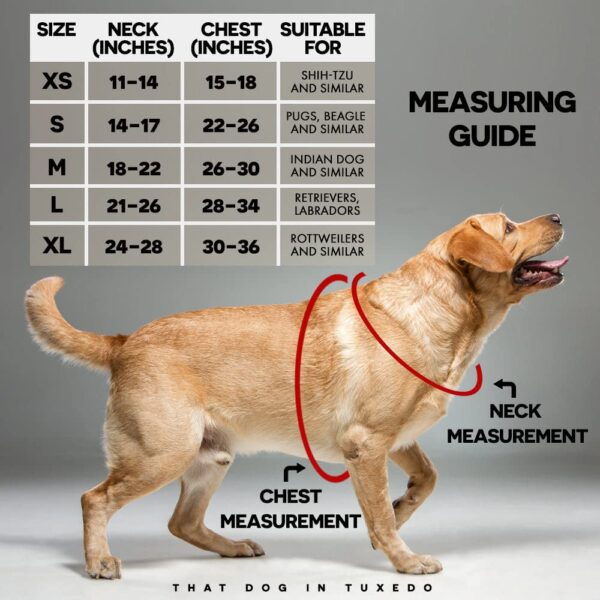 61bwtkNibOL._SL1000_.jpg That Dog In Tuxedo Body Mesh Harness - Dog Tuxedo Harness (Black, Size L)