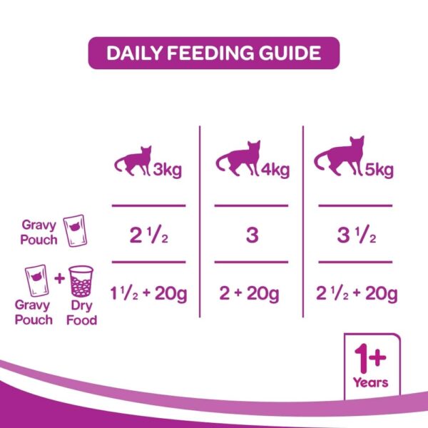61cApbcX2AL._SL1000_.jpg whiskas Wet Meal Adult Cat Food - Tuna In Jelly, 85G Pouch, 1 Count
