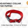 61cBo2juvFL._SL1200_.jpg Boltz Premium Reflective Dog Vest Harness, Comfortable Vest with Quick-Release Buckles for Small, Medium & Large Dogs, No-Pull Dog Harness – Black, Adjustable & Reflective - Black