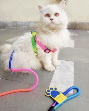 A+a Pets' Harness and Leash Set, Colourful Combo in Rainbow A+a Pets' Harness and Leash Set, Colourful Combo in Rainbow for Cats and Dogs (XS, Rainbow)