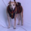 A+a Pets'Dog Lift Full Body Support Harness (XL-2XL)
