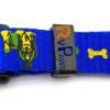 RvPaws 15 MM Paw/Bone Printed Soft Nylon Collar Belt and Leash Set for Small Breed Dog and Puppies - Blue