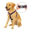Dog Harness No Pull with Front Clip | Dog Walking Chest Harness with Reflective Adjustable Soft Padded Vest and Easy Control Handle Sizes (Medium, Purple)
