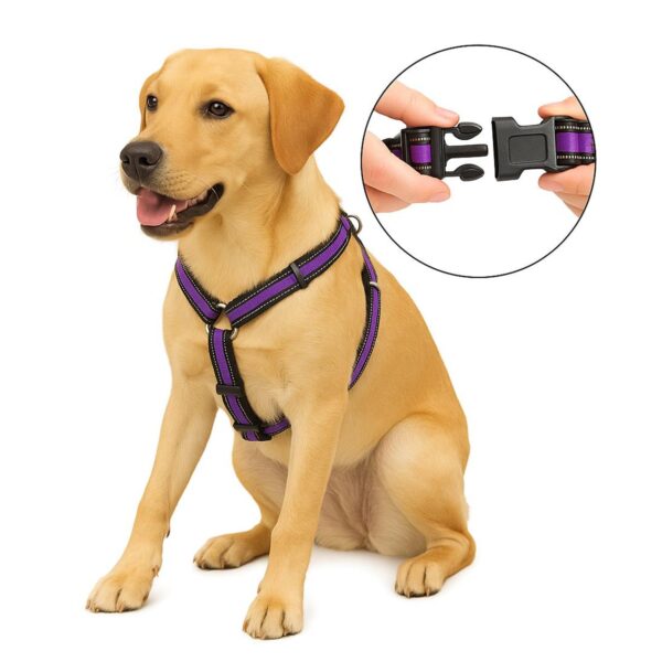 Dog Harness No Pull with Front Clip | Dog Walking Chest Harness with Reflective Adjustable Soft Padded Vest and Easy Control Handle Sizes (Medium, Purple)