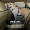 PetWale Colourful Stripes Dog Cat Car Seat Belt | Safe Travel Companion | Built to Last | Adjustable Length Long Lasting | Easy to Hook & Comfortable to Use