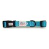 Zigly Lifestyle Adjustable Dog Collar-XS (15mm), Neon Green-Classic Padded Dog Neck Collar for Small Dogs & Puppies | Comfortable & Durable Dog Collar Belt