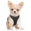 PETS EMPIRE Reflective Oxford Material Vest Adjustable No-Pull Pet Harness for Dogs for Easy Control and Outdoor (Small)