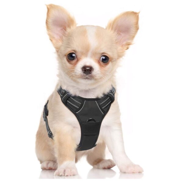 PETS EMPIRE Reflective Oxford Material Vest Adjustable No-Pull Pet Harness for Dogs for Easy Control and Outdoor (Small)