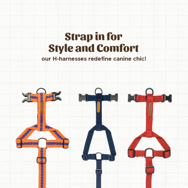 PetWale Dog H Harness | Cotton Material | Adjustable & Durable | Skin & Fur Friendly | Ultimate Comfort for Long Hours | 3 Point Adjustments | Strong Material & Secured Fit | Navy Blue - Small