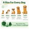 4-in-1 Dog Toys, Frozen Dog Treat to Keep Them Busy, Treats Puzzle Ball Toy, Interactive Treat Dispensing Dog Toy, Durable Rubber Chew Toys, DIY Freezable Fillable Treat Toy (Green Medium)