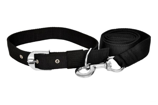 SNOOKUM Dog Leash Collar Set Size 0.50 Dog Collar & Leash (Extra Small, Nylon Leash & Collar Set Size 0.50 INCH) Color May Vary