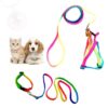Sage Square Dog Colourfull Harness Leash Set Adjustable Heavy Duty No Pull Halter Harnesses for Small Breed Dogs Back Clip Anti-Twist Perfect for Walking (Multicoloured)