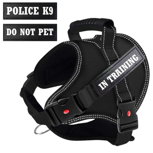 KIKA Pets Muscle Dog Harness for Large Dogs, L Size (21-35 kg Dogs), Midnight Black