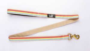 FurBuddies - Satrangi Soft Padded Leash for Dogs - (Multicolor, FurBuddies - Satrangi Soft Padded Leash for Dogs - (Multicolor, Standard Size)