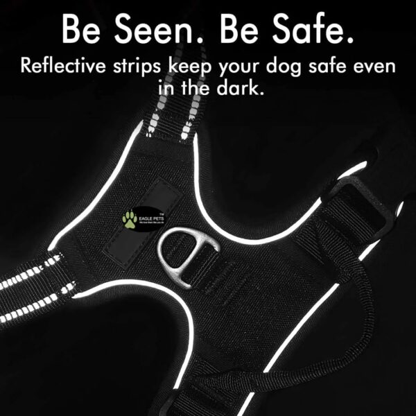 61fb7mbueNL._SL1080_.jpg Premium Reflective NoβPull Dog Harness with Rope Leash β Adjustable Vest with Handle & Front/Back Leash Clips | Heavy-Duty, Comfortable Belt for Training, Walking, Hiking (Red, Large)