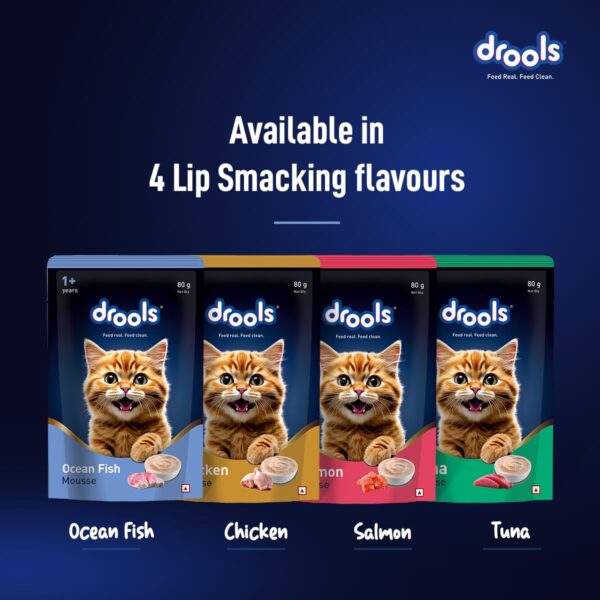 Drools Kitten Cat Wet Mousse 80gm | Ocean Fish | Rich in Protein, Promotes Hydration & Easy to Digest | Grain Free, No Artificial Flavours |Packed with Essential Vitamins & Antioxidants