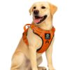 Premium Reflective Dog Vest Harness| Soft Breathable| Padded Handle| Adjustable Straps & Luxury Buckle | Soft Padded Mesh | No Pull | No-Choke | Chest 22-30 inch | All Medium Breed 14-22 Kg