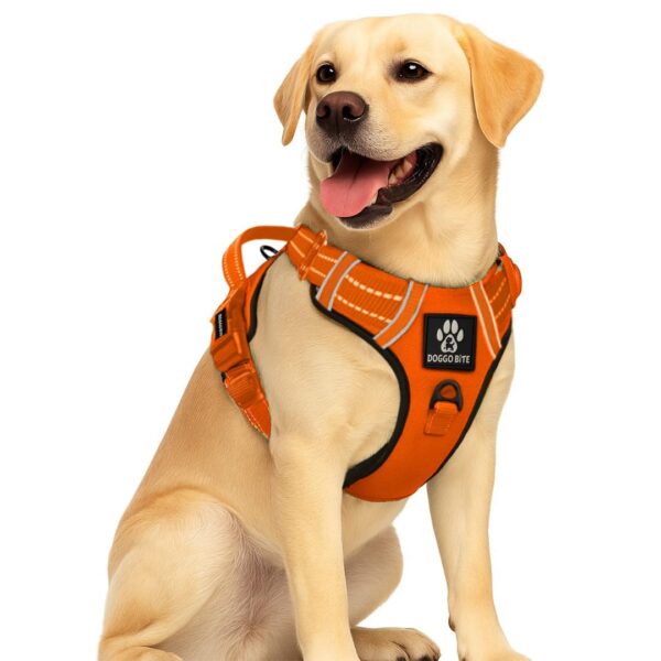 Premium Reflective Dog Vest Harness| Soft Breathable| Padded Handle| Adjustable Straps & Luxury Buckle | Soft Padded Mesh | No Pull | No-Choke | Chest 22-30 inch | All Medium Breed 14-22 Kg
