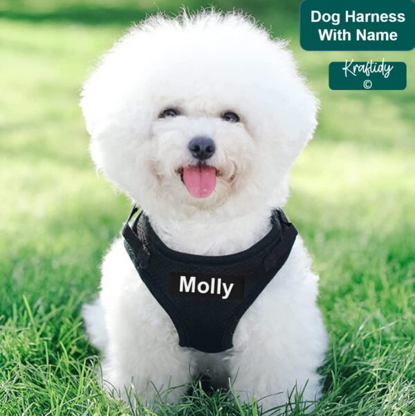 Dog Harness with Name id Customized for Small Dogs Puppy Harness Reflective Vest Harness Adjustable with Personalized Dog Name (Black)