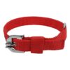 MUNCHOS Double Strip Dog Collar (0.5-inch