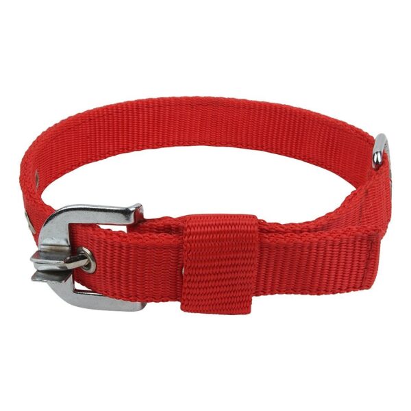 MUNCHOS Double Strip Dog Collar (0.5-inch