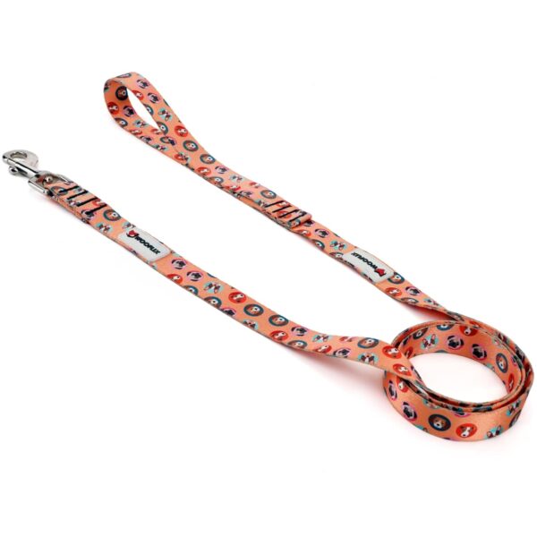 Wooflix Heavy Duty Nylon Dog Leash | Anti Slip Padded Wooflix Heavy Duty Nylon Dog Leash | Anti Slip Padded Handle Long Dog Leash | Highly Reflective Leash for Dogs | Dog Rope for Medium & Large Dogs | Dog Training Leash | (Dogo Orange, 5 Feet Long)