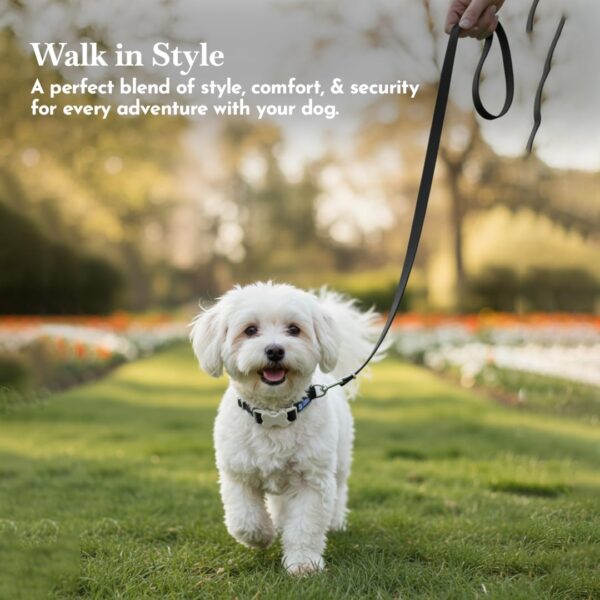 PETS EMPIRE Classic Dog Collar & Leash Set with Bow – Elegant Adjustable Collar[2.5*(46-55) cm] & Leash(2.5 * 150cm) for Large Dog Breeds (Large, Black)