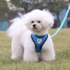 Kuber Industries Dog Chest Harness with Nylon Leash I No Pull, Soft Padded and Breathable Dog Vest I Adjustable, Reflective I Large, Blue