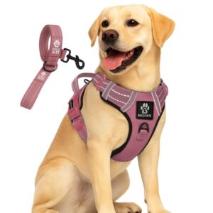 Premium Reflective Dog Vest Harness| Soft Breathable| Padded Handle| Adjustable Premium Reflective Dog Vest Harness| Soft Breathable| Padded Handle| Adjustable Straps & Luxury Buckle| No-Choke Design with Free Leash-26mm Chest (28-35inch) All Medium Breeds 14-22 Kg