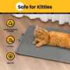 Cat Litter Mat Litter Box Mat, EVA Honeycomb Double Layer Design, Urine & Waterproof, Scatter Control Kitty Litter Mat, Less Waste, Easier To Clean,Washable (Gray, 60 x 40cm)