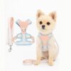 Pastel Dog Harness and Leash Set for Dogs and Cats | Adjustable No-Pull, No-Choke Soft Padded Pet Vest with Matching Leash | Comfortable, Cute and Stylish Walking Harness (Blue)