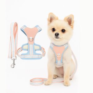 Pastel Dog Harness and Leash Set for Dogs and Cats | Adjustable No-Pull, No-Choke Soft Padded Pet Vest with Matching Leash | Comfortable, Cute and Stylish Walking Harness (Blue)