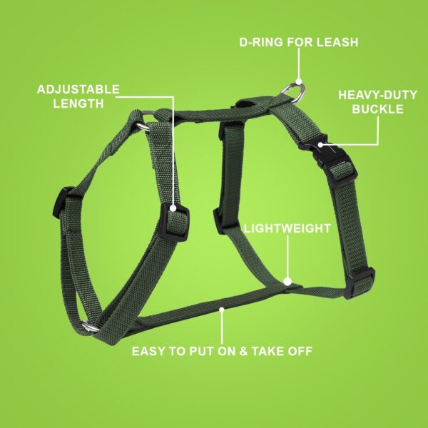 61hyYFsIPLL._SL1080_.jpg Avocado dip Premium Adjustable Washable Training Freedom H-Harness for Dogs and Puppies-Bold Range | Dark Green | Small