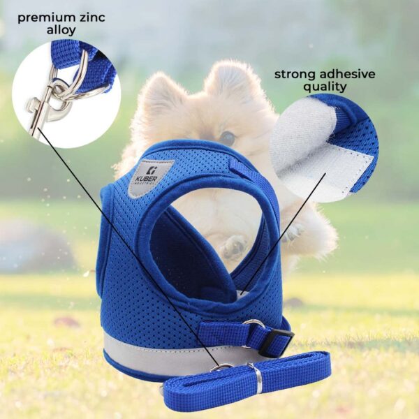 61i4TRRcMCL._SL1080_.jpg Kuber Industries Reflective Dog Harness with Adjustable Leash|Breathable Polyester Mesh Fabric |XS Size|HT-844|Comfortable No-Pull Grip|Quick Release Buckles|Easy On - Easy Off Harness|Blue