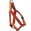 Designer Dog Halter V Harness| Dog Vest Harness| Dog Harness Comes with Orange Color for Small Dogs Regular Harness.