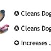 Pets Co. Rubber Dog Chew Toy Combo (6" Bone + 3" Spike Ball + 4.5" Ring + 7" Plastic Bone) | Teething Toys for Puppies & Small Dogs