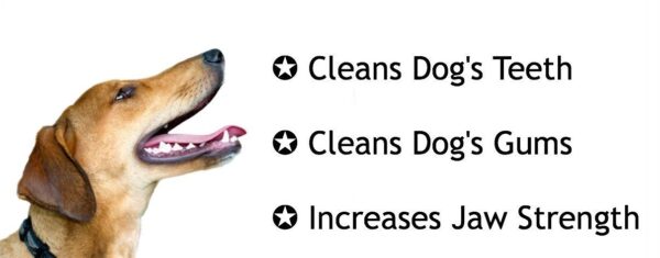 Pets Co. Rubber Dog Chew Toy Combo (6" Bone + 3" Spike Ball + 4.5" Ring + 7" Plastic Bone) | Teething Toys for Puppies & Small Dogs