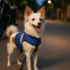 A+a Pets' Retro Vest Harness & Leash Set | No A+a Pets' Retro Vest Harness & Leash Set | No Pull, No Escape, Breathable, Cute Combo for Puppies, Small Dogs, Cats (Polka Blue, M)