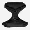 61iI9lRLZ8L._SL1000_.jpg That Dog In Tuxedo Body Mesh Harness - Dog Tuxedo Harness (Black, Size L)