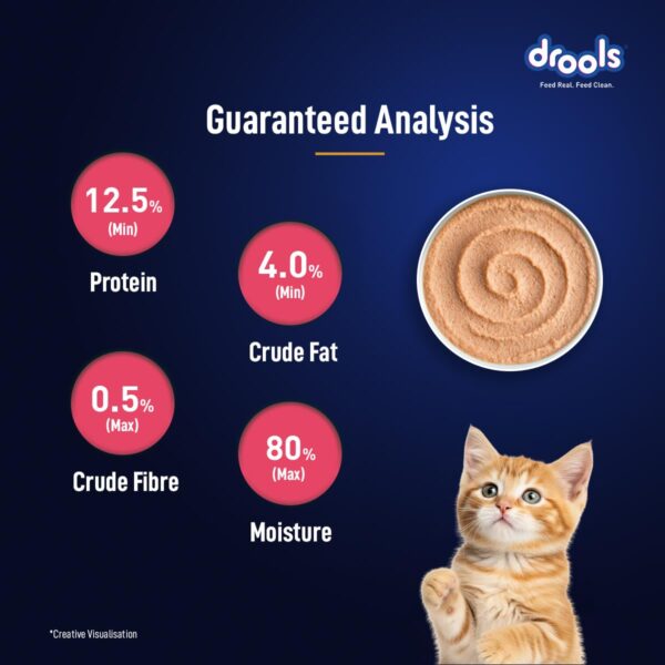 Drools Kitten Cat Wet Mousse 80gm | Salmon | Rich in Protein, Promotes Hydration & Easy to Digest | Grain Free, No Artificial Flavours | Packed with Essential Vitamins & Antioxidants