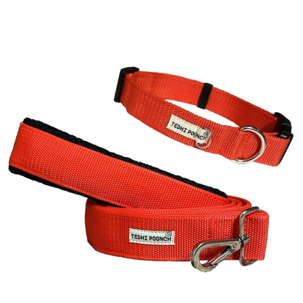 Tarbooj Premium Adjustable Durable Training Collar and Leash Set for Dogs and Puppies | Red | Medium