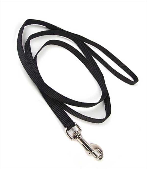 61iZuF5ZJBL._SL1150_.jpg MUNCHOS Nylon 1.25 inchi Leash for Medium Dogs (Colour May Vary)