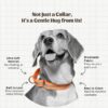 PetWale Reflective Orange Dog Martingale Collar | Comfortable & Secure Fit | No Neck Strains | Durable | Recommended by Trainers | Suited for Small Breeds Like Lahsa, Terrier & More | Size S