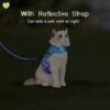 KUTKUT Cat Harness and Leash Set for Walking - Soft Mesh Adjustable Vest With Reflective Strap, Comfort Fit for Pet Kitten Puppy (Size: M, Chest: 28cm - 32cm)