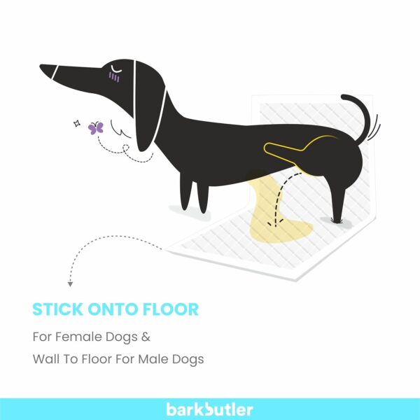 BarkButler Training Pads, 60x90cm-15pcs, White|Super Absorption|Floor & Wall Stickers|Liquid Lock Tech|Pee Pads for All Dog & cat Breeds > 25kgs