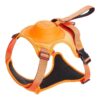 A+a Pets' 2in1 No Pull Dog Harness & Leash Combo A+a Pets' 2in1 No Pull Dog Harness & Leash Combo | Handsfree Multi Function Pet Vest with Built-in Retractable Leash | Automatic Comfortable Body Belt (XL, Orange)