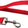 Nylon Dog Training Lead Dog Leash 10 Ft Long Leash (1 Inch Wide) (Red)